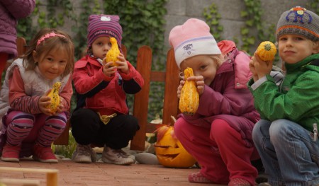 ...takéto tekvičky sme si vypestovali v záhradke...